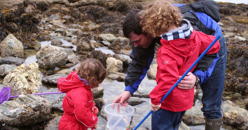 Two small children and their dad stood around rockpools looking in a bucket and holding nets