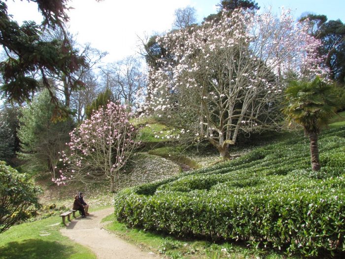 5 reasons to visit Cornwall in early spring | Bosinver