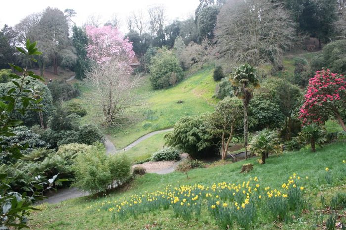 Celebrating spring - Luxury Self Catering Holiday Cottages Cornwall