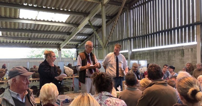3 auctioneers stood infront of a large croud at a poultry auction