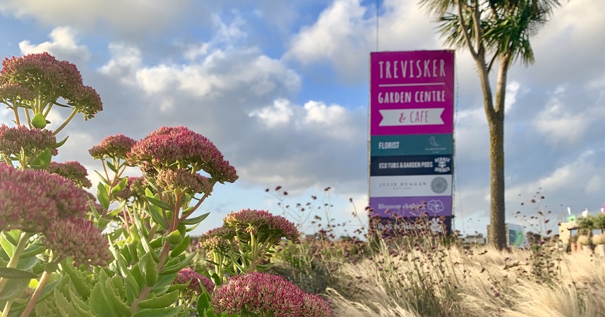 Trevisker Garden Centre and Cafe sign surrounded by flowers