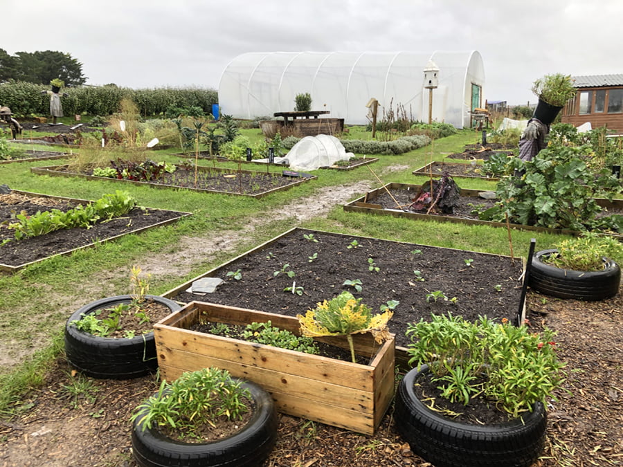 Wide shot of Newquay Community Orchard, including a variety of vegetable plots on a grey day.