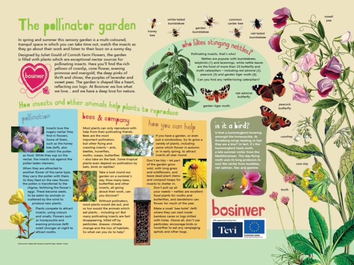 Leaflet about Bosinver's new habitat hunt trail and pollinator garden.