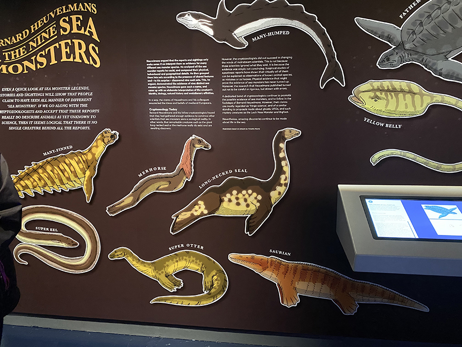 Monsters of the Deep display board at the National Maritime Museum Cornwall in Falmouth