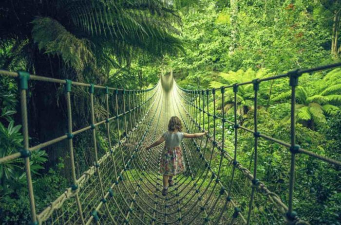 Child on a rope bridge at The Jungle at Helgian
