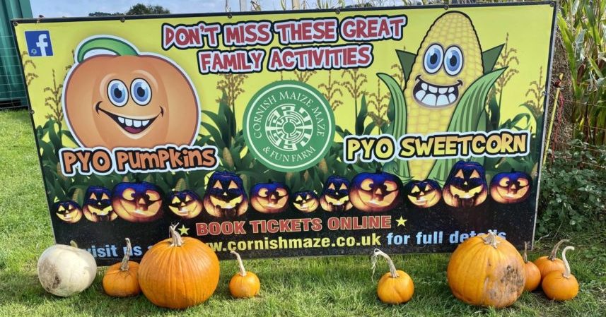 A banner for Cornwall's Amazing Maize Maze with pumpkins around it