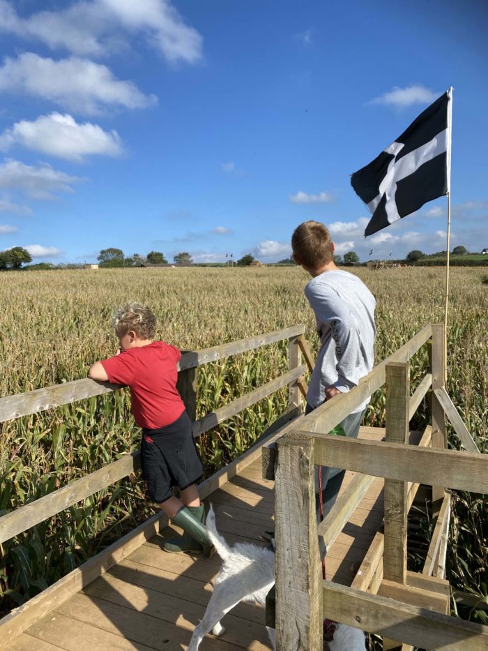 Pats granchildren on a lookout platform above the maize with Cornish flag flying