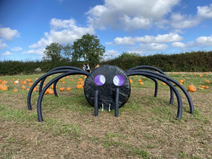 A spider bale with long legs next to the pumpkin field