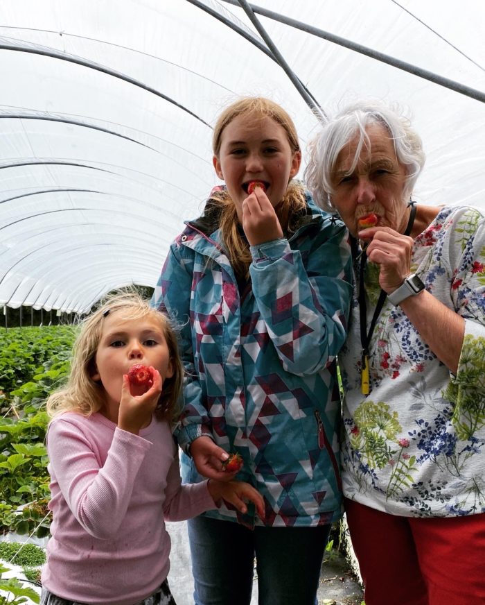 Pat (right) with her two granddaughters eating strawberries cheekily in a polytunnel at Boddingtons