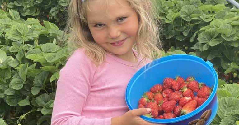 Pats granddaughter Jasmine shows off her punnt of Boddingtons strawberries in front of some green plants