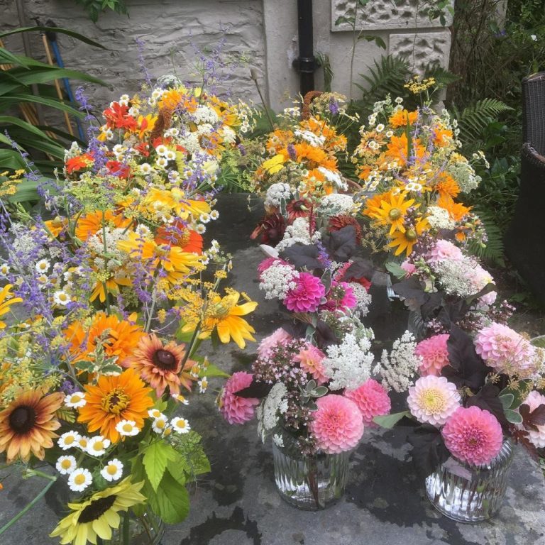 Range of flowers in vases at Cornish Farm Flowers.