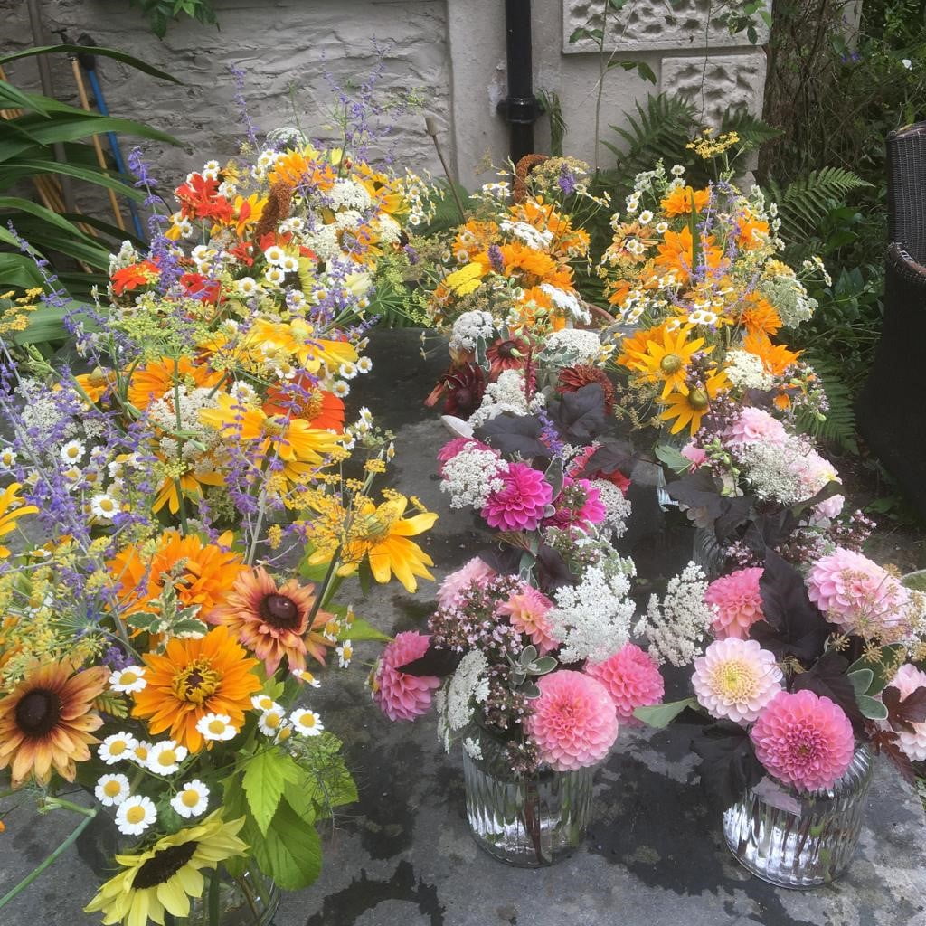 Range of flowers in vases at Cornish Farm Flowers.