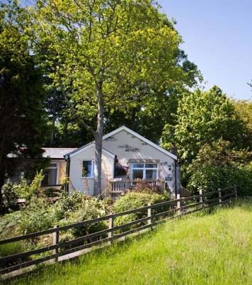 Picture of Valley View cottage at Bosinver surrounded by trees and overlooking the view.