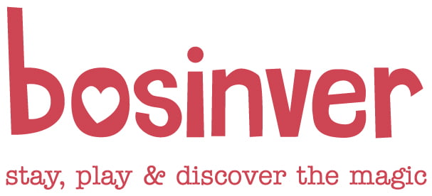 Bosinver logo and tag line in red
