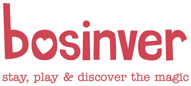 Bosinver logo in red with clear background