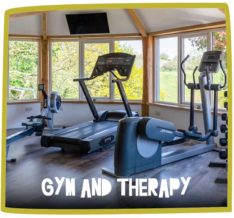 Picture of the gym at Bosinver overlooking the grounds. Included a rowing machine, running machine, cross-trainer and dumbells.