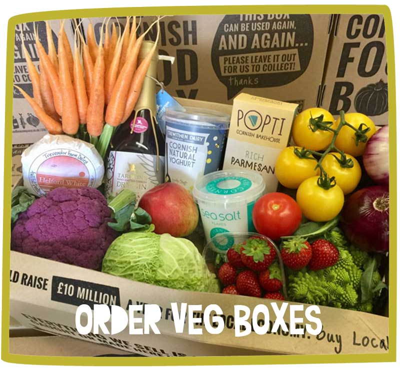 Large box of fruit, vegetables and other foods supplied by Bosinver