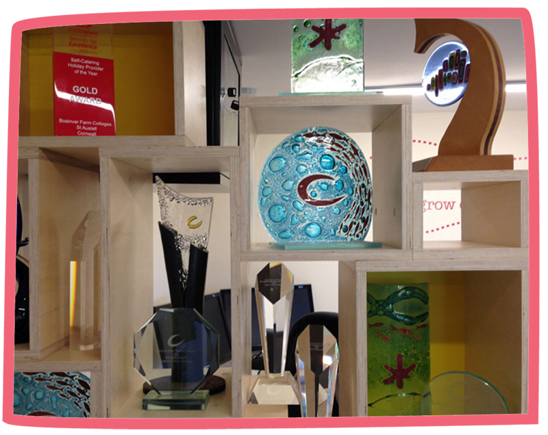 A shelf showcasing all of Bosinver's awards.