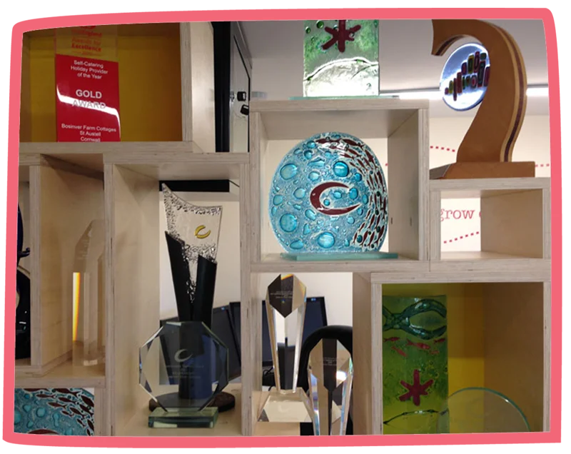 A shelf showcasing all of Bosinver's awards.