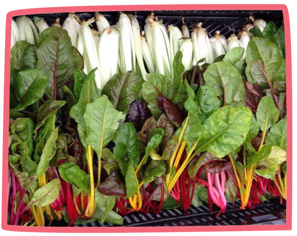 Vegetables in a basket waiting to be delivered at Bosinver