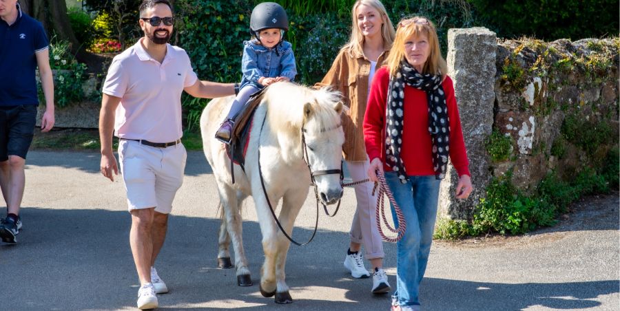 Toddler on a white pony with mum and dad walking alongside