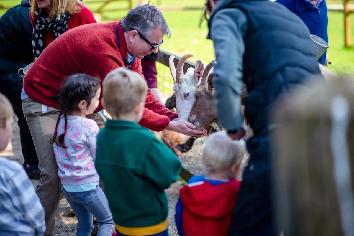 Cornwall kids holidays with animal feeding