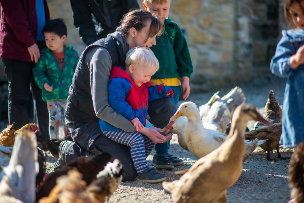 animal feeding taking place at holiday cottages in Cornwall. Mum and toddler enjoying feeding the ducks