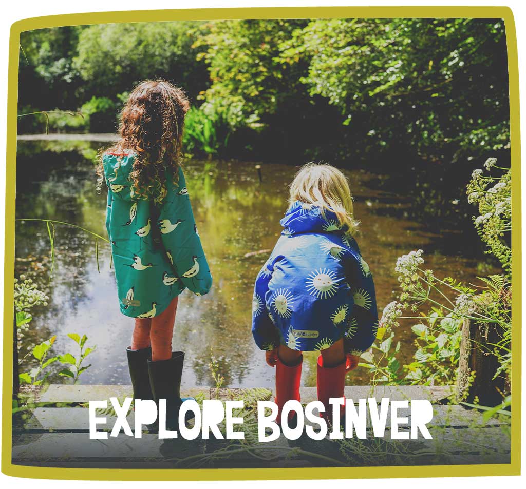 Explore Bosinver