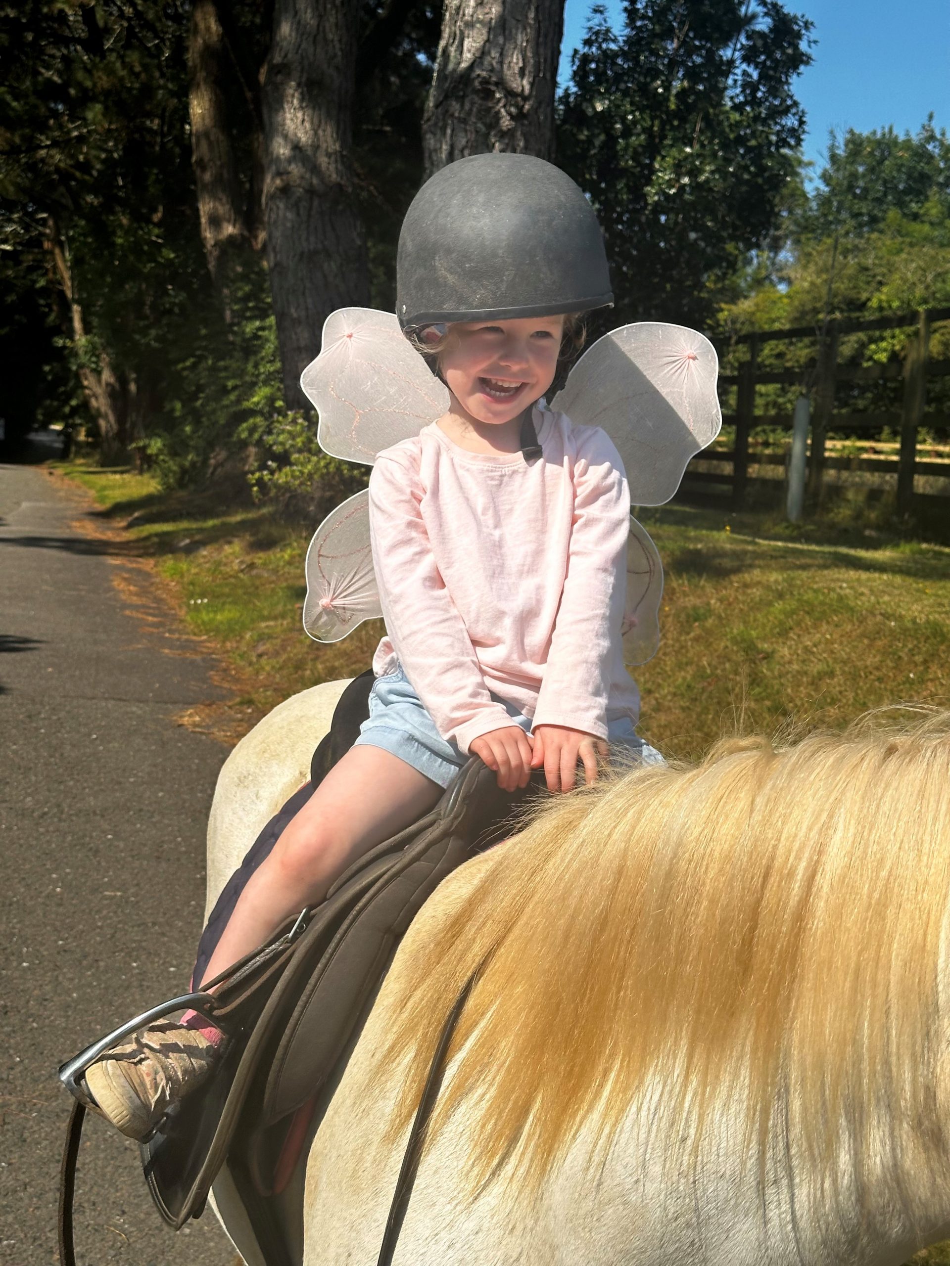 Pony Riding