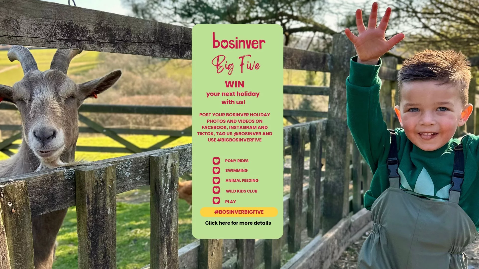 BOSINVER BIG 5 FIVE