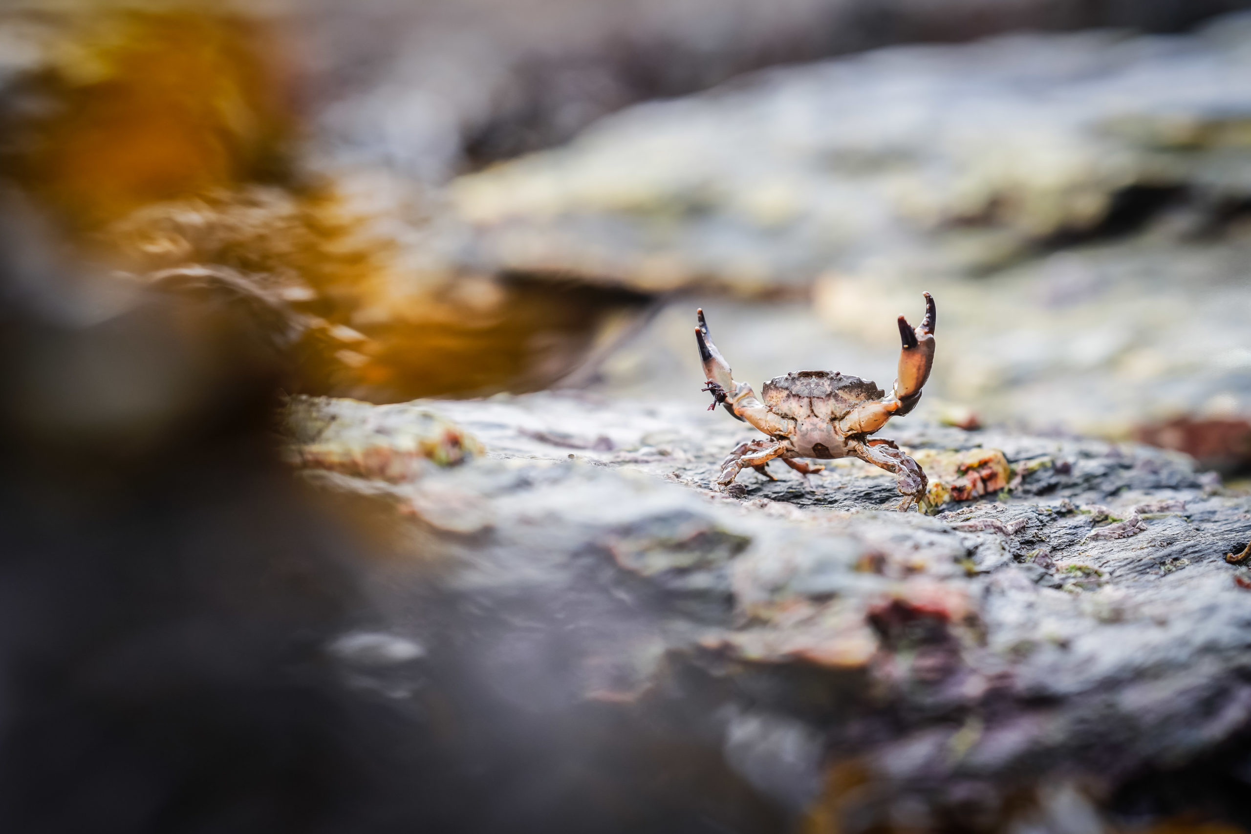 Porthpean beach