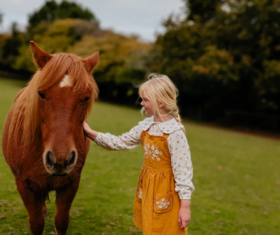 ginger the pony ginger the pony