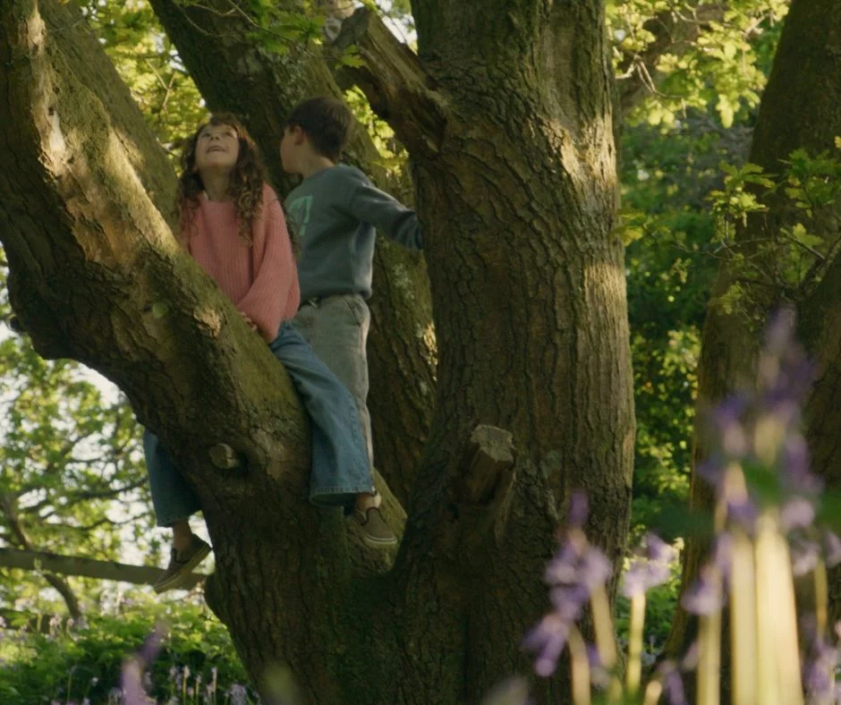 children playing in a tree