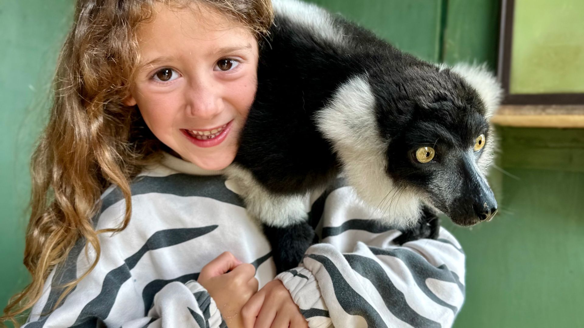Screech Owl Sanctuary and Animal Park