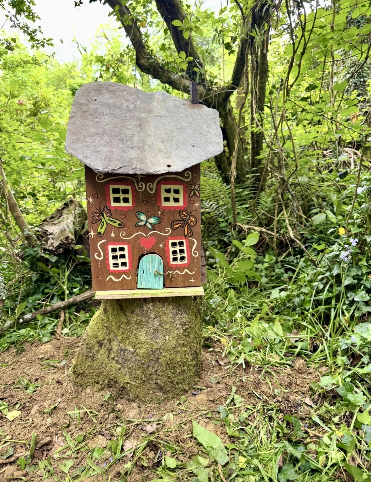 Fairy Forest