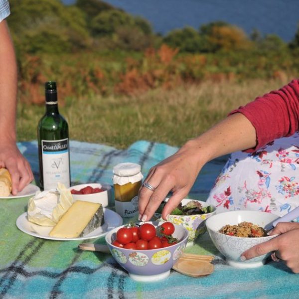 Picnic for two on a blue checked blanket with fresh tomatoes, cheese and a bottle of white wine