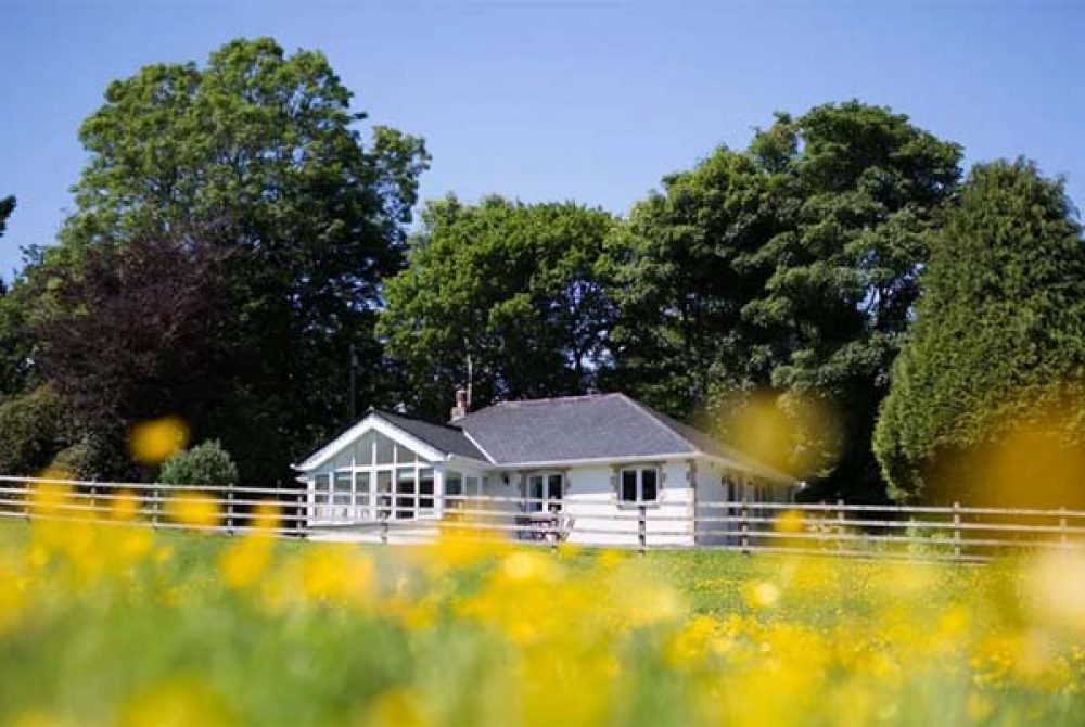 Front shot of Buddleia cottage at Bosinver