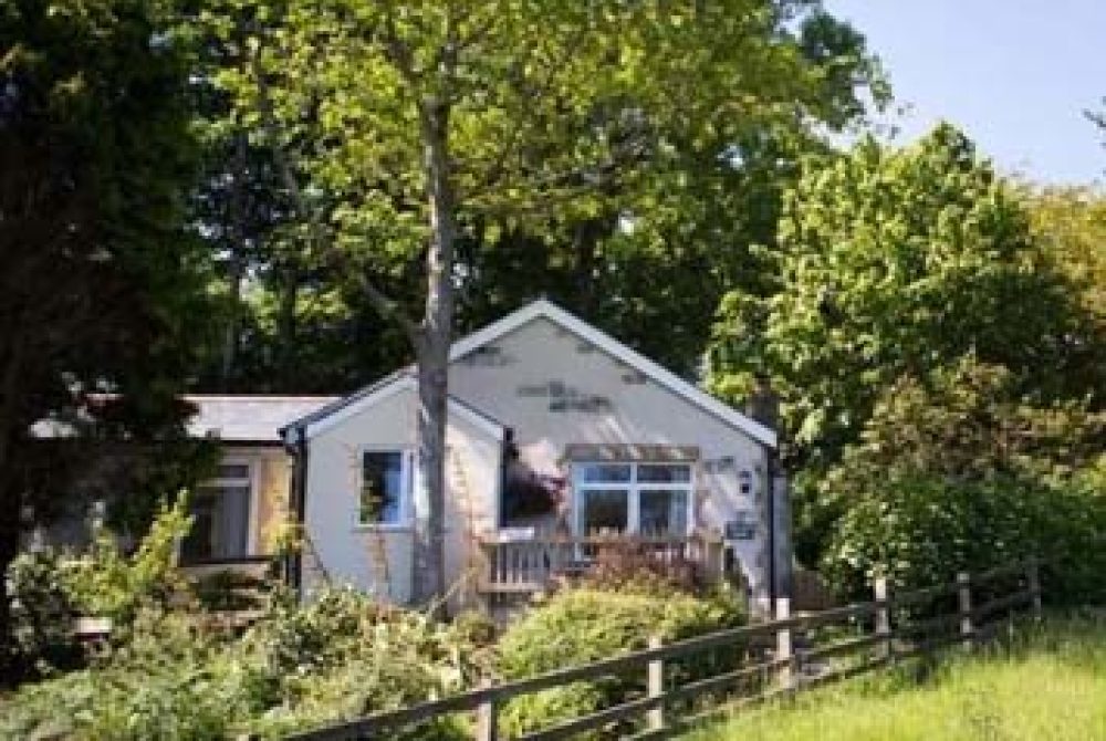 Picture of Valley View cottage at Bosinver surrounded by trees and overlooking the view.