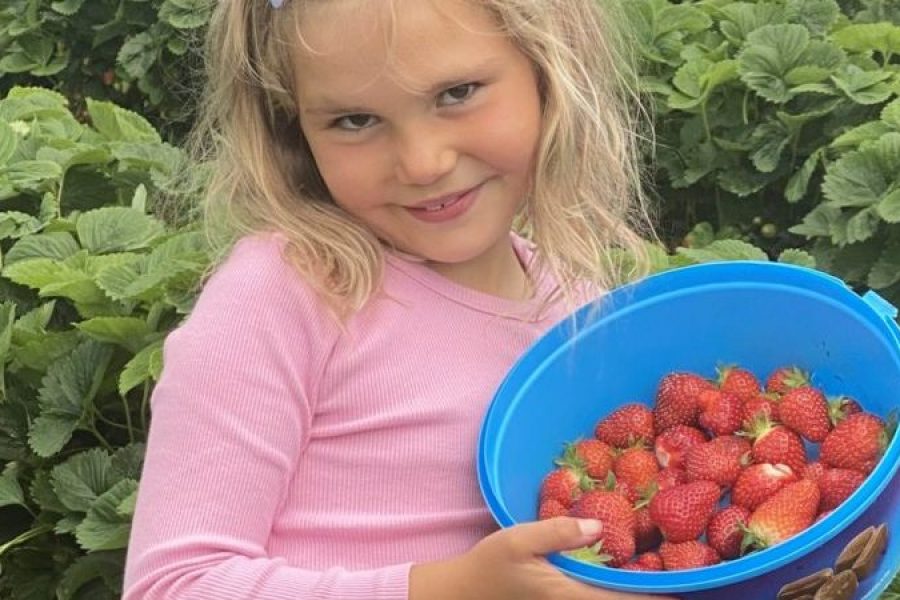 Little girl holding a tub of strawberries from Boddington's Berries in Mevagissey.